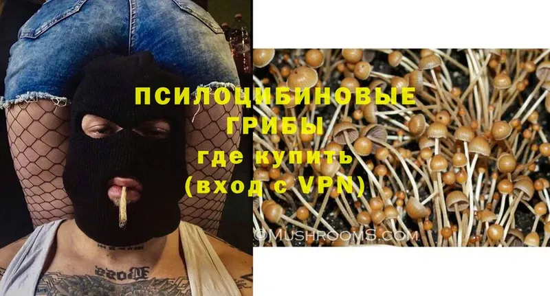 МЕГА ONION  Лесозаводск  Галлюциногенные грибы MAGIC MUSHROOMS  купить закладку 